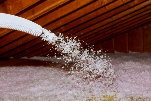 Best Residential Insulation in Hallstead, PA