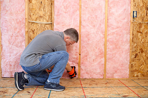 Best Insulation Maintenance and Repair in Hallstead, PA